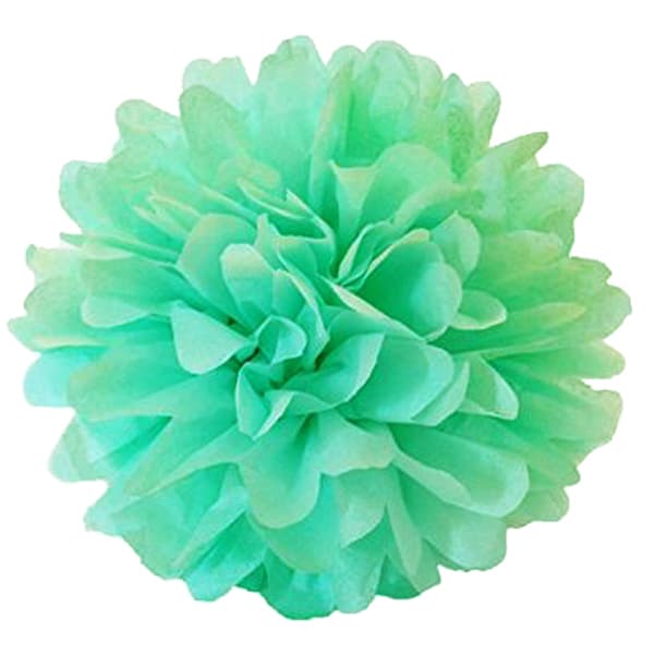 Mint Green Tissue Paper Pom Pom Singapore